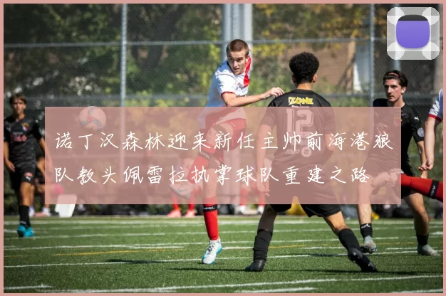 诺丁汉森林迎来新任主帅前海港狼队教头佩雷拉执掌球队重建之路