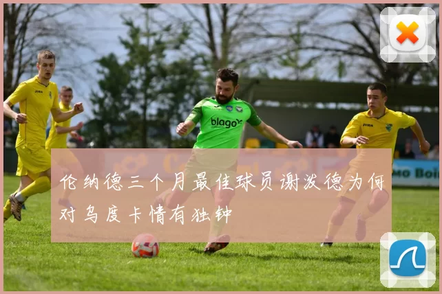 伦纳德三个月最佳球员谢泼德为何对乌度卡情有独钟